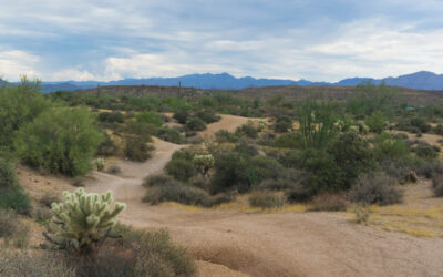 McDowell Mountain Regional Park: A Personal Story