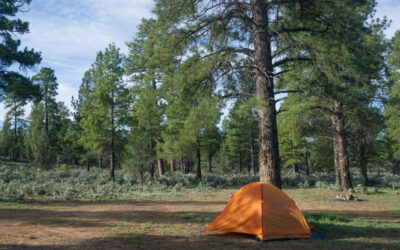 Sedona Free Dispersed Camping Spots