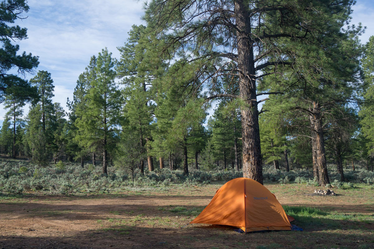 Grand Canyon Free Dispersed Tent Camping