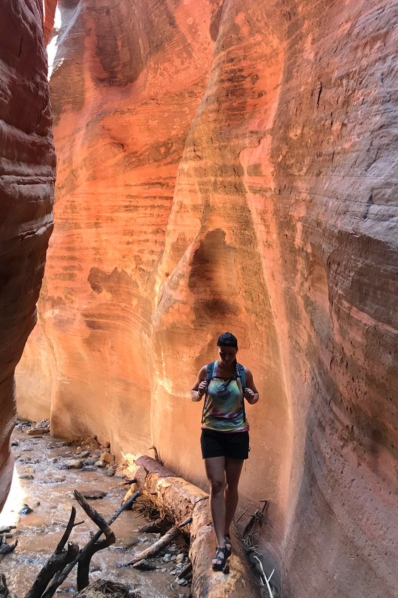 Kanarra Falls Slot Canyon Hike In Utah