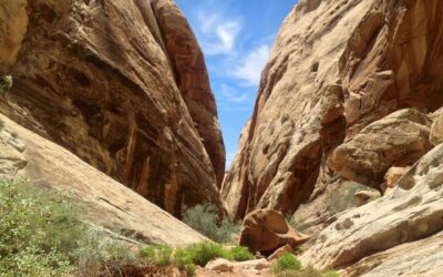Ding and Dang Slot Canyon: A Hiking Guide
