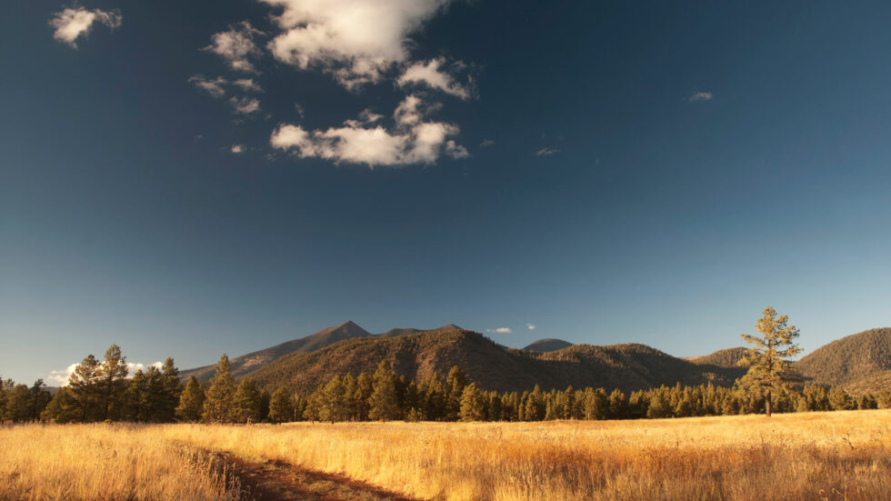 7 Reasons To Visit Flagstaff, Arizona - Southwest Microadventures