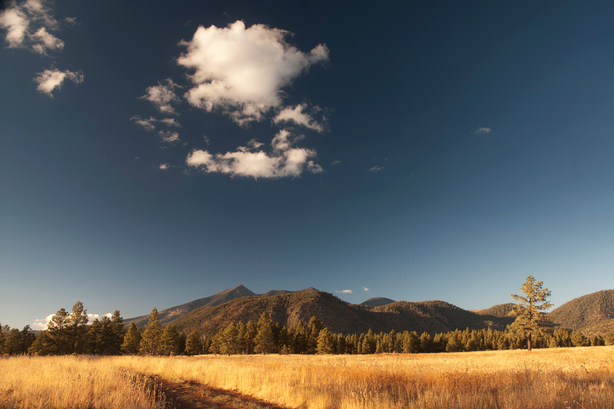 Flagstaff-San-Francisco-Peaks-Arizona-From-Buffalo-Park