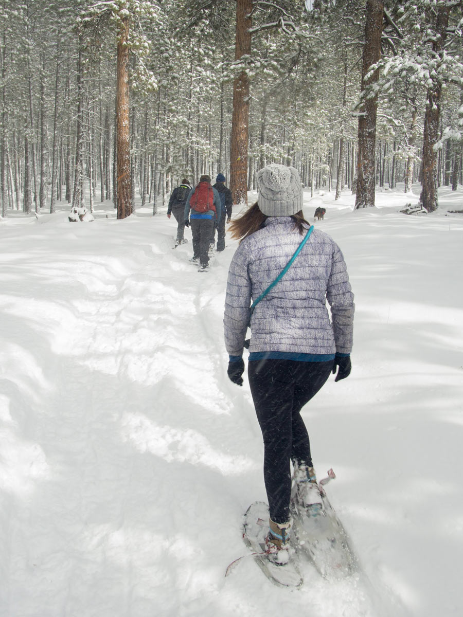 Arizona-Nordic-Village-Snowshoeing