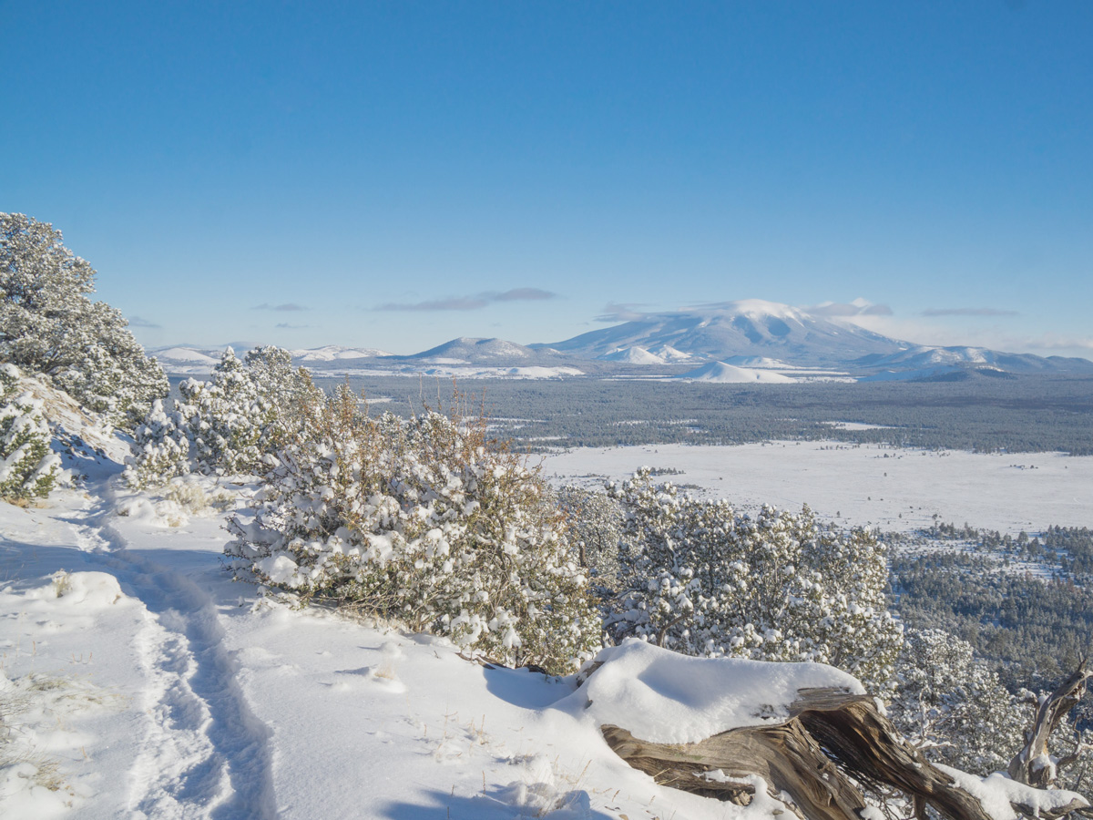 Slate-Mountain-Snowshoeing-Flagstaff