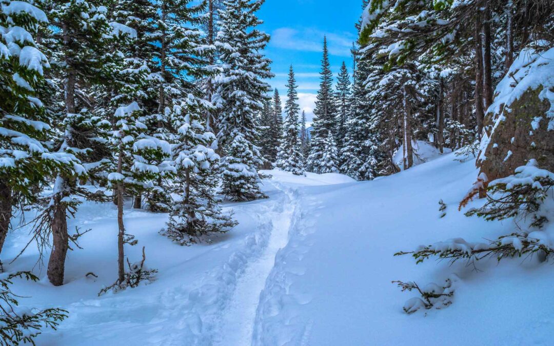 Snowshoeing Near Denver: Our 4 Favorite Trails