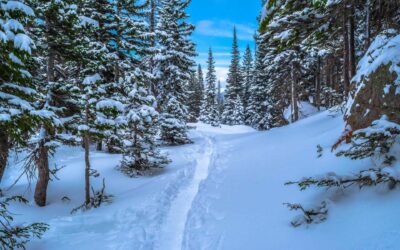 Snowshoeing Near Denver: Our 4 Favorite Trails