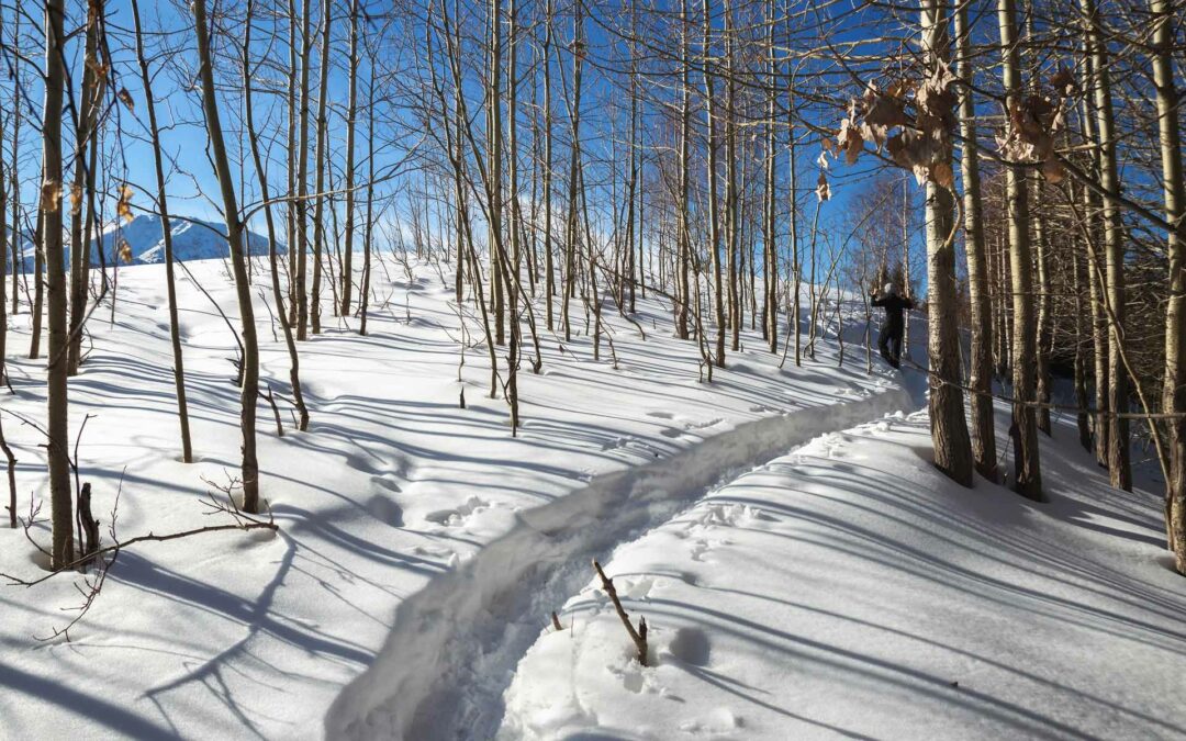 Snowshoeing In Aspen: Our 5 Favorite Trails