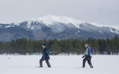 Snowshoeing In Flagstaff: Our 5 Favorite Trails