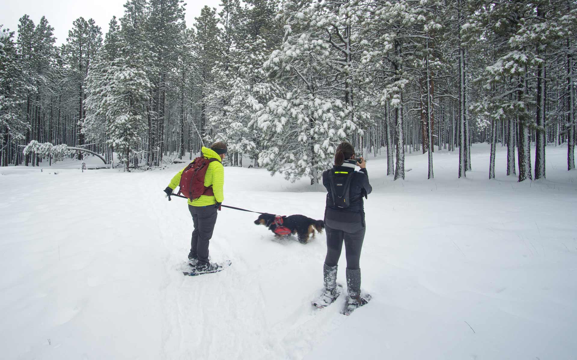 What's the Difference Between Nordic Skiing and Cross-Country Skiing? —  Durango Nordic