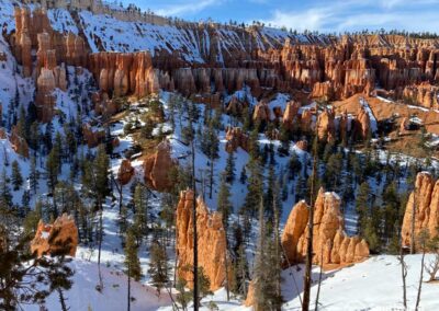 View of the Bryce Amphitheater from the trail.