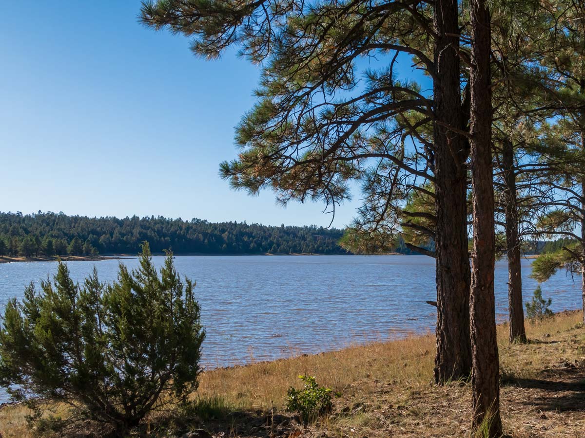 Lake-Mary-Flagstaff-Arizona-Swimming