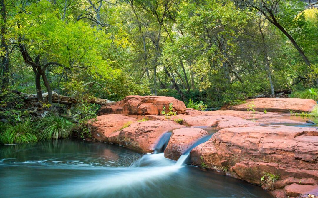 7 Places To Swim In Northern Arizona