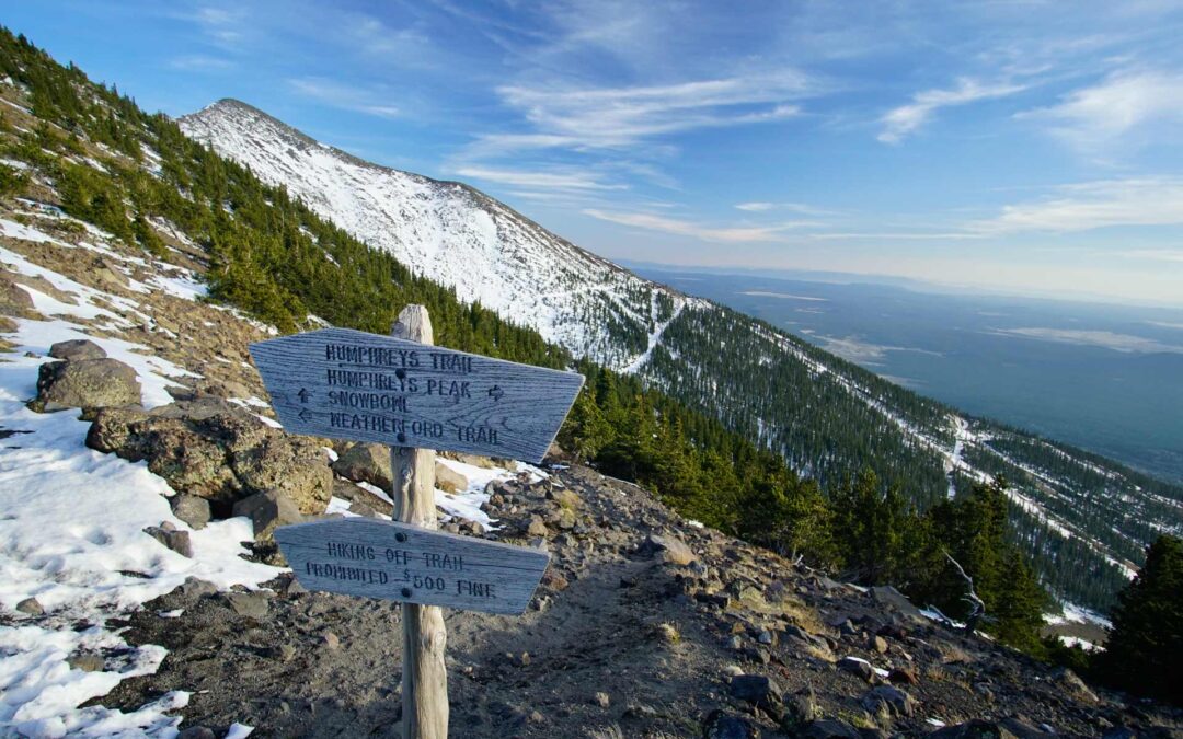 Our 10 Favorite Hiking Trails in Flagstaff