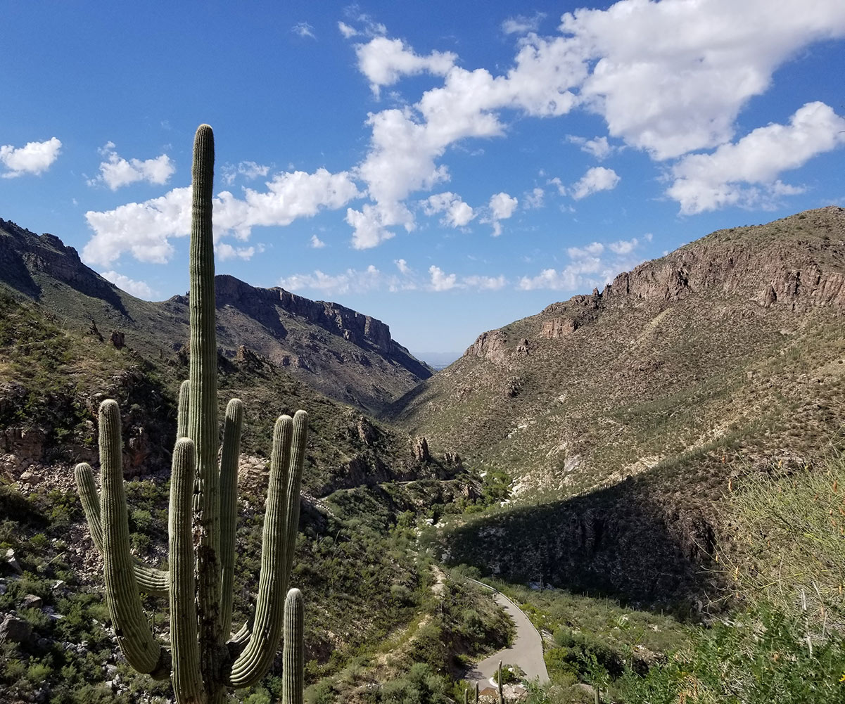 Hiking Trail in Sabino Canyon, Tucson, AZ