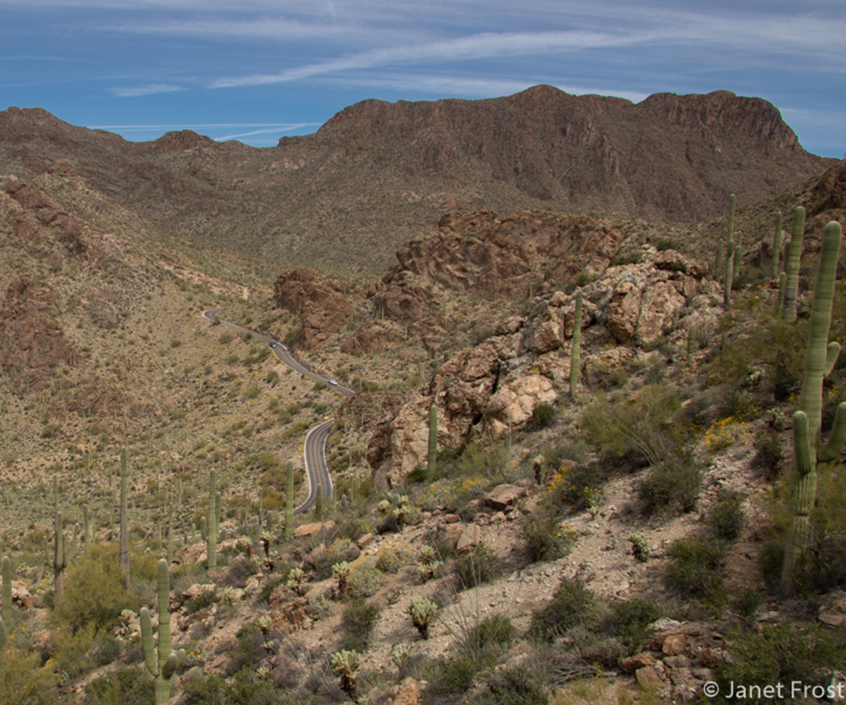 Hiking the Tucson Mountains Gates Passjpg