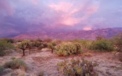 Santa Catalina Mountains Hiking in Tucson, AZ