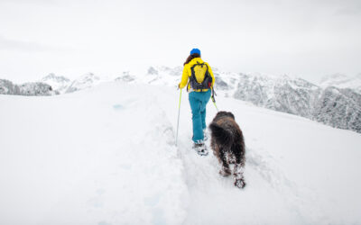 Snowshoeing in Durango: Our 7 Favorite Trails